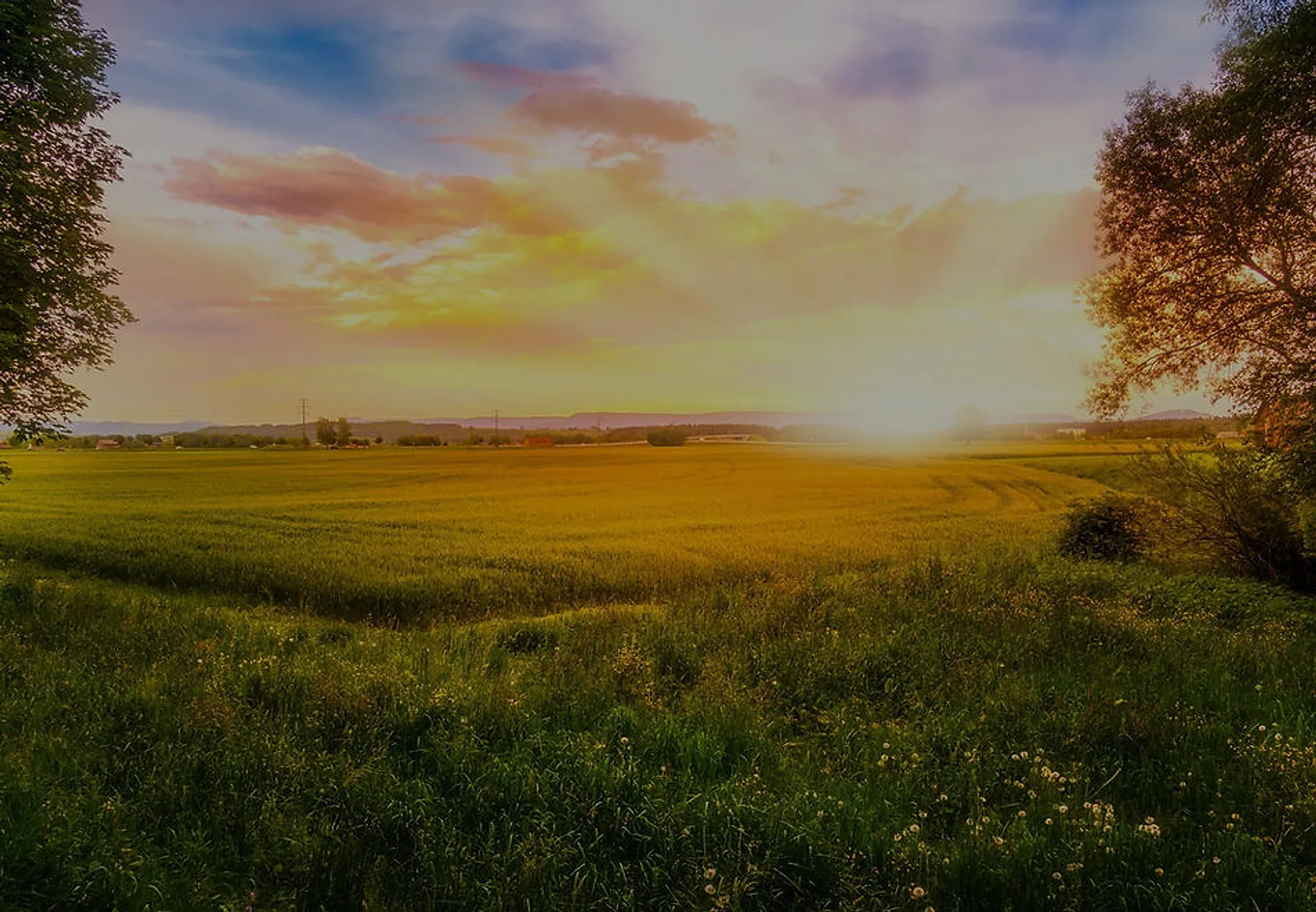 Sunrise over open East Yorkshire countryside New Day Therapies Hull