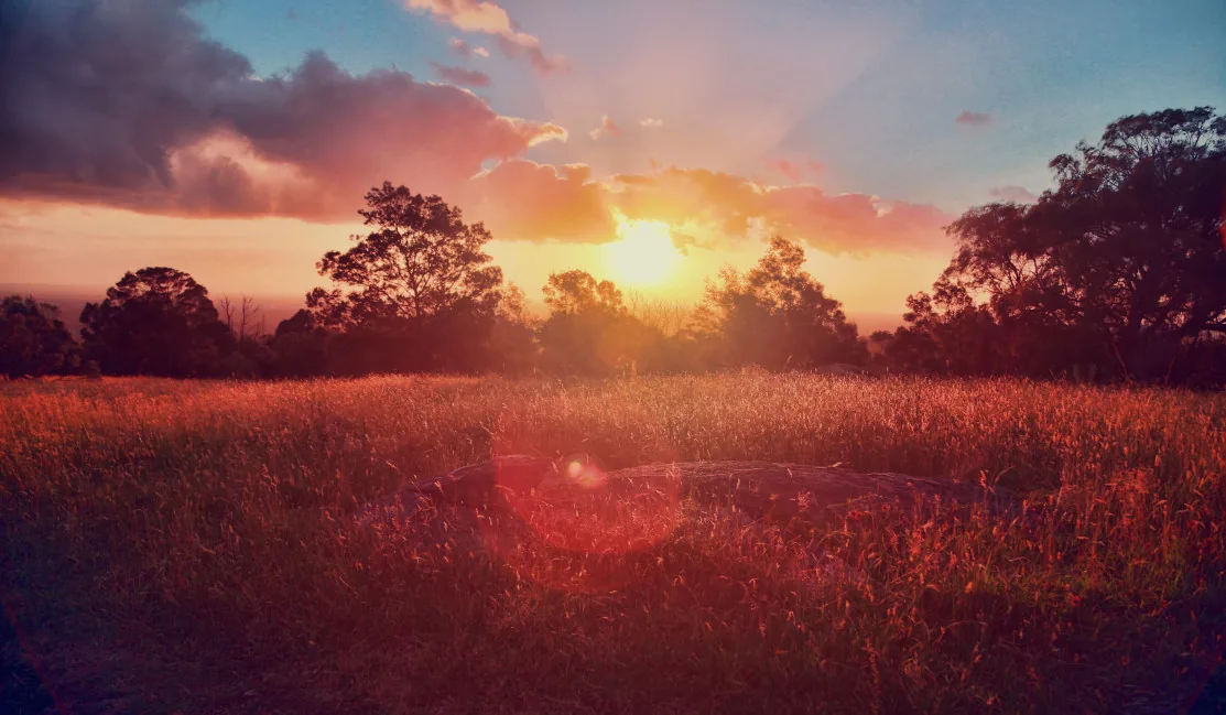Open field at sunset New Day Therapies blog Hull